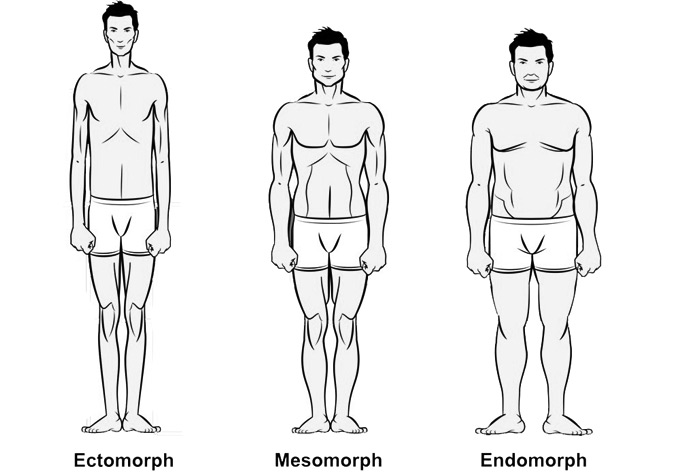 Body Type
