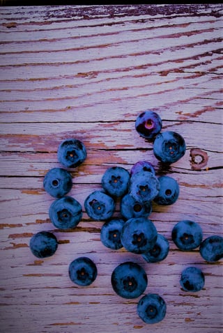 Blueberries vertical.jpg