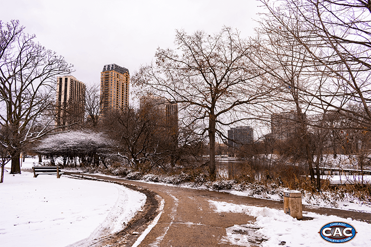 Lincoln Park in Winter