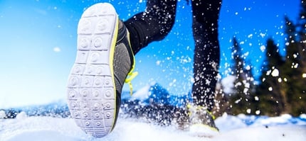 Winter Run Header