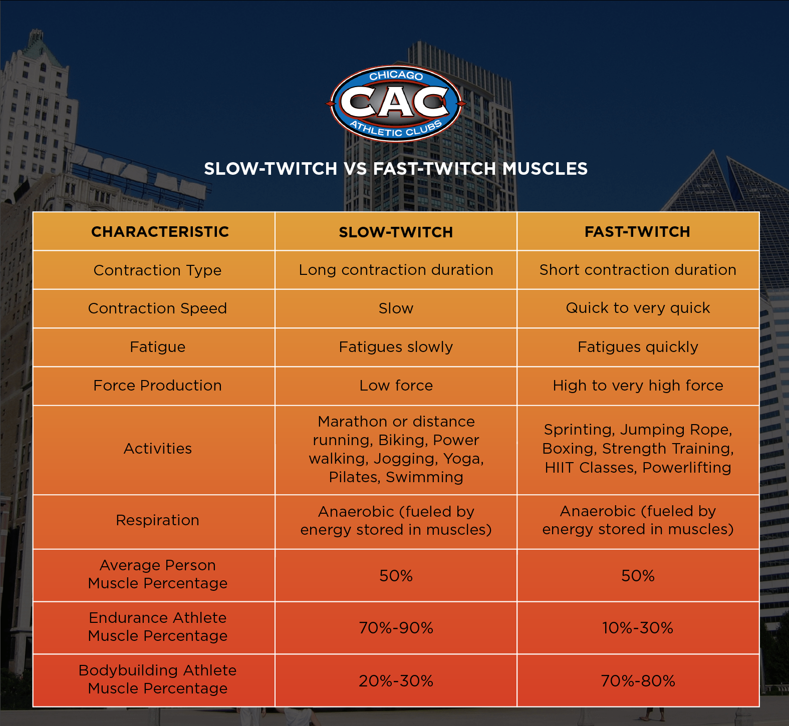 slow-twitch vs fast-twitch muscles