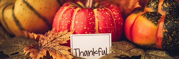 thanksgiving_crop